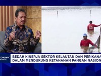 Video: Ekspor Perikanan Digenjot, Hulu Jadi Fokus Menteri Trenggono