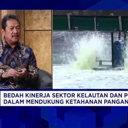 Video: KKP Targetkan Udang hingga Tilapia Jadi Andalan Produksi 2025