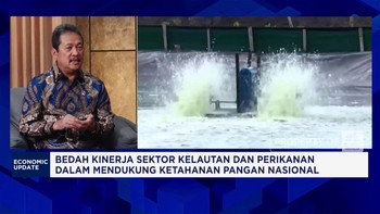 Video: KKP Targetkan Udang hingga Tilapia Jadi Andalan Produksi 2025