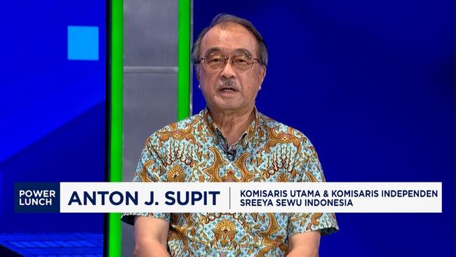 Pengusaha Ungkap Borok Sebenarnya Penyebab Peternak Ayam Merugi