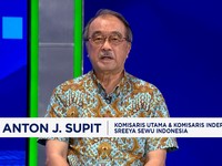 Pengusaha Ungkap Borok Sebenarnya Penyebab Peternak Ayam Merugi