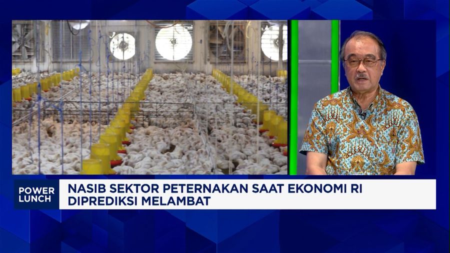 Komesaris Utama & Komesaris Independen Sreeya Sewu Indonesia, Anton J. Supit dalam CNBC Indonesia Power Lunch. (CNBC Indonesia TV)