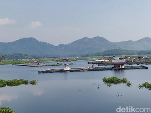 Air Lindi TPA Sarimukti Diduga Bikin Ikan Waduk Cirata Tercemar