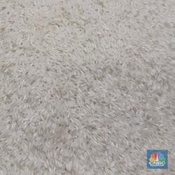 Beredar Beras Oplosan Bikin Rugi Rp 99 T, Cek Aturan Standar Mutu RI
