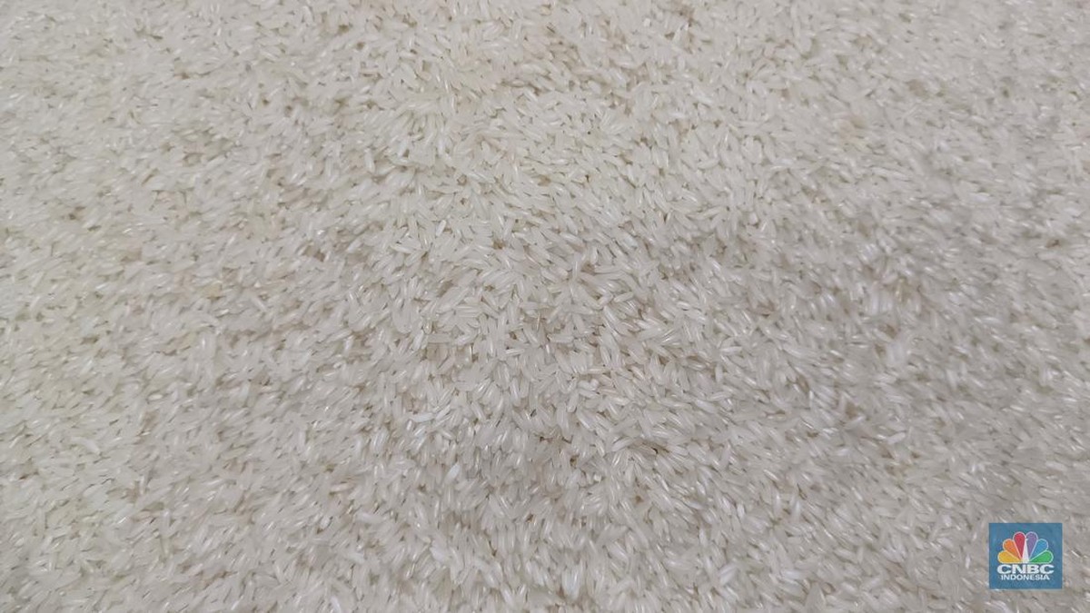 Kata Kemendag Ritel Modern Lagi Hati-Hati Jual Beras Premium, Ada Apa?