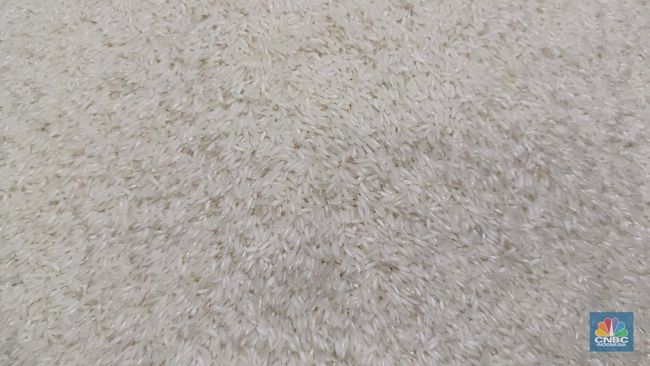Beredar Beras Oplosan Bikin Rugi Rp 99 T, Cek Aturan Standar Mutu RI
