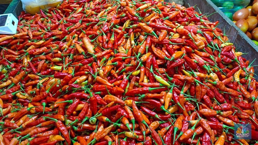 Pantauan harga cabai dan bawang di Pasar Rumput, Jakarta Selatan, Kamis (26/6/2025). (CNBC Indonesia/Martyasari Rizky)