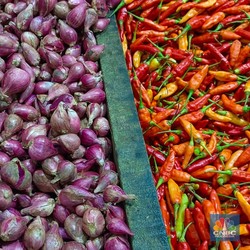 Harga Bawang-Bawang Naik, Harga Cabai Apa Kabar Hari Ini?