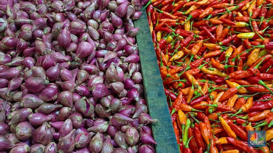 Pantauan harga cabai dan bawang di Pasar Rumput, Jakarta Selatan, Kamis (26/6/2025). (CNBC Indonesia/Martyasari Rizky)