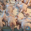 BPS Pelototi Harga Daging Ayam, Bawang Putih, Beras-Tomat, Temukan Ini