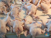 BPS Pelototi Harga Daging Ayam, Bawang Putih, Beras-Tomat, Temukan Ini