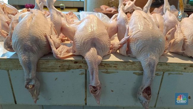 Mitos atau Fakta, Makan Daging Ayam Picu Risiko Kanker? Ini Kata Ahli