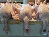 Mitos atau Fakta, Makan Daging Ayam Picu Risiko Kanker? Ini Kata Ahli