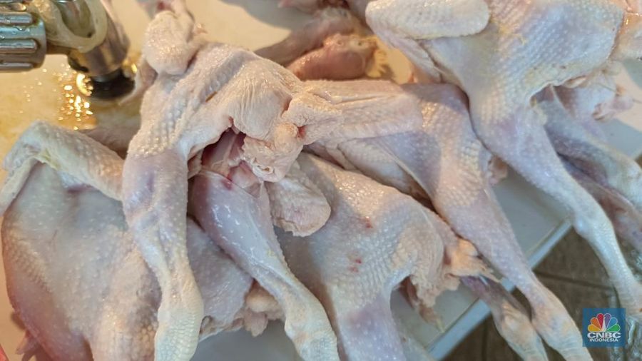 Pantauan harga daging ayam dan telur ayam di Pasar Rumput, Jakarta Selatan, Kamis (26/6/2025). (CNBC Indonesia/Martyasari Rizky)