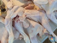 Pemerintah Atur Harga Ayam-di Pasar Dijual Segini, Telur Apa Kabar?