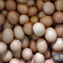 Benarkah Banyak Makan Telur Bikin Bisulan?