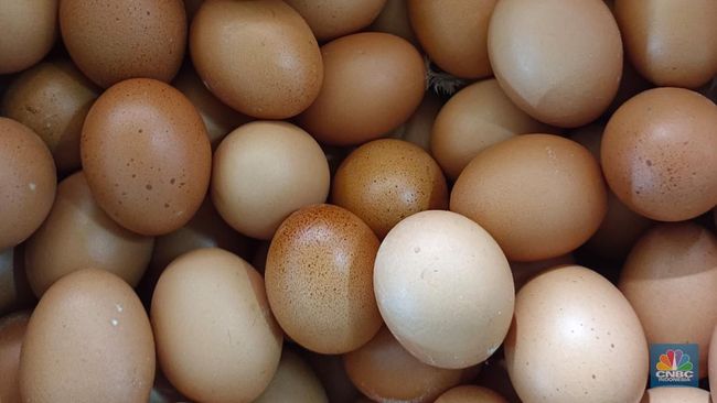 Doyan Makan Telur Setiap Hari, Benarkah Bikin Kolesterol Tinggi?
