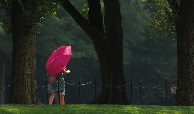 Seorang pengunjung National Mall memegang payung untuk melindungi diri dari terik matahari, di tengah gelombang panas berbahaya yang melanda wilayah timur Amerika Serikat, di Washington, D.C., AS, 25 Juni 2025. Seorang pengunjung National Mall memegang payung untuk melindungi diri dari terik matahari, di tengah gelombang panas berbahaya yang melanda wilayah timur Amerika Serikat, di Washington, D.C., AS, 25 Juni 2025. (REUTERS/Kevin Lamarque)