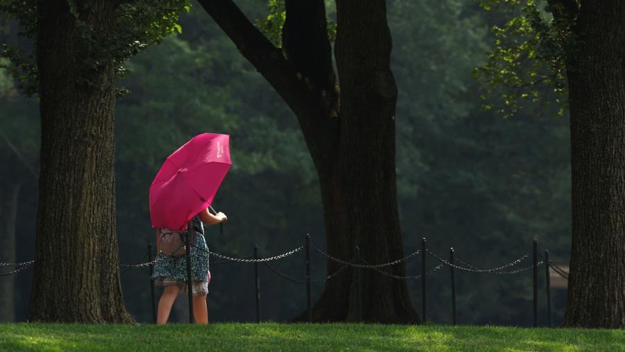 Seorang pengunjung National Mall memegang payung untuk melindungi diri dari terik matahari, di tengah gelombang panas berbahaya yang melanda wilayah timur Amerika Serikat, di Washington, D.C., AS, 25 Juni 2025. (REUTERS/Kevin Lamarque)
