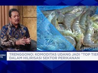 Video: Trenggono Genjot Produksi Udang untuk Hilirisasi Berkelanjutan