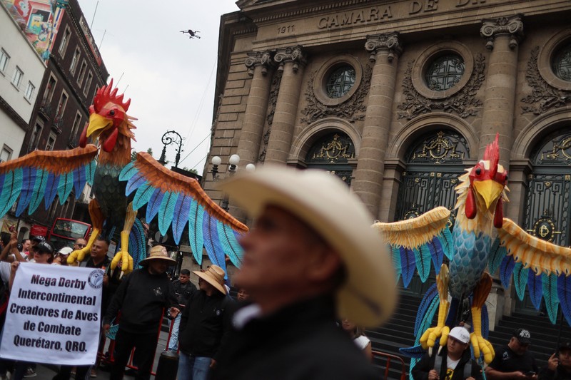 Ratusan orang turun ke jalan di Mexico City pada Kamis (26/6/2025) untuk menyuarakan dukungan terhadap praktik tradisional seperti adu banteng dan adu ayam. Aksi ini digelar sebagai respons terhadap kebijakan baru yang dinilai mengancam keberlangsungan tradisi tersebut. Ratusan orang turun ke jalan di Mexico City pada Kamis (26/6/2025) untuk menyuarakan dukungan terhadap praktik tradisional seperti adu banteng dan adu ayam. Aksi ini digelar sebagai respons terhadap kebijakan baru yang dinilai mengancam keberlangsungan tradisi tersebut. (Tangkapan Layar Video Reuters/)