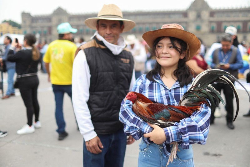Ratusan orang turun ke jalan di Mexico City pada Kamis (26/6/2025) untuk menyuarakan dukungan terhadap praktik tradisional seperti adu banteng dan adu ayam. Aksi ini digelar sebagai respons terhadap kebijakan baru yang dinilai mengancam keberlangsungan tradisi tersebut. Ratusan orang turun ke jalan di Mexico City pada Kamis (26/6/2025) untuk menyuarakan dukungan terhadap praktik tradisional seperti adu banteng dan adu ayam. Aksi ini digelar sebagai respons terhadap kebijakan baru yang dinilai mengancam keberlangsungan tradisi tersebut. (Tangkapan Layar Video Reuters/)