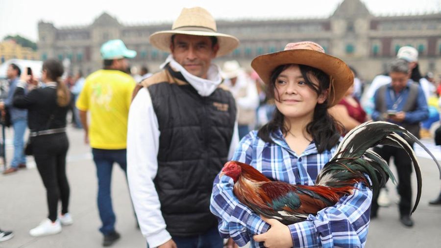 Ratusan orang turun ke jalan di Mexico City pada Kamis (26/6/2025) untuk menyuarakan dukungan terhadap praktik tradisional seperti adu banteng dan adu ayam. Aksi ini digelar sebagai respons terhadap kebijakan baru yang dinilai mengancam keberlangsungan tradisi tersebut. (Tangkapan Layar Video Reuters/)