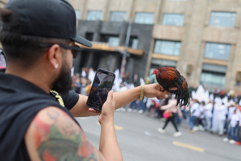 Ratusan orang turun ke jalan di Mexico City pada Kamis (26/6/2025) untuk menyuarakan dukungan terhadap praktik tradisional seperti adu banteng dan adu ayam. Aksi ini digelar sebagai respons terhadap kebijakan baru yang dinilai mengancam keberlangsungan tradisi tersebut. Ratusan orang turun ke jalan di Mexico City pada Kamis (26/6/2025) untuk menyuarakan dukungan terhadap praktik tradisional seperti adu banteng dan adu ayam. Aksi ini digelar sebagai respons terhadap kebijakan baru yang dinilai mengancam keberlangsungan tradisi tersebut. (Tangkapan Layar Video Reuters/)