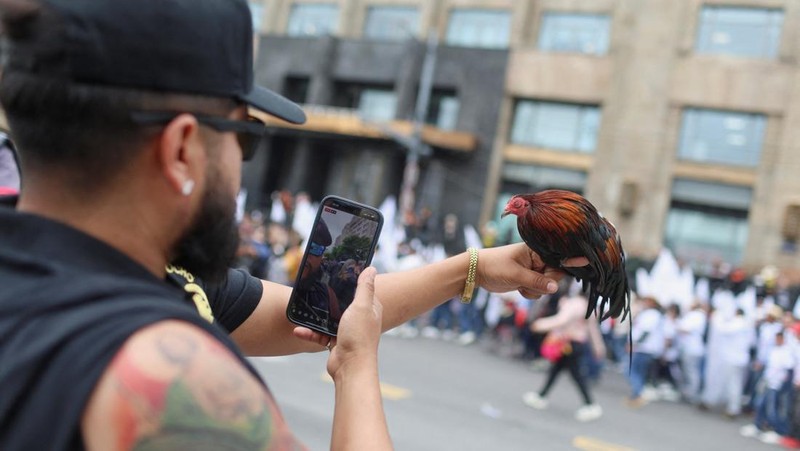 Ratusan orang turun ke jalan di Mexico City pada Kamis (26/6/2025) untuk menyuarakan dukungan terhadap praktik tradisional seperti adu banteng dan adu ayam. Aksi ini digelar sebagai respons terhadap kebijakan baru yang dinilai mengancam keberlangsungan tradisi tersebut. (Tangkapan Layar Video Reuters/)