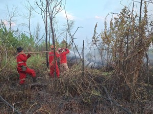 BPBD Sebut Karhutla di Ogan Ilir Didominasi Faktor Kesengajaan
