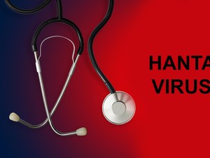 Kemenkes RI Ungkap Aktivitas Seperti Ini Berisiko Tularkan Hantavirus
