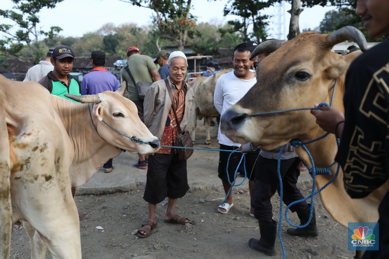 Suasana pedagang melayani calon pembeli di Pasar Hewan Karanggede, Boyolali, Jawa Tengah, Sabtu (28/6/2025). (CNBC Indonesia/Tri Susilo) Suasana pedagang melayani calon pembeli di Pasar Hewan Karanggede, Boyolali, Jawa Tengah, Sabtu (28/6/2025). (CNBC Indonesia/Tri Susilo)