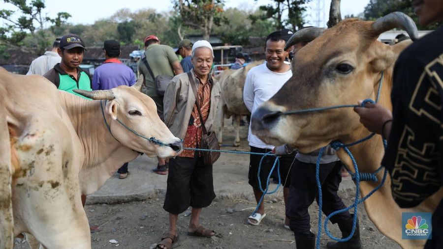 Suasana pedagang melayani calon pembeli di Pasar Hewan Karanggede, Boyolali, Jawa Tengah, Sabtu (28/6/2025). (CNBC Indonesia/Tri Susilo)