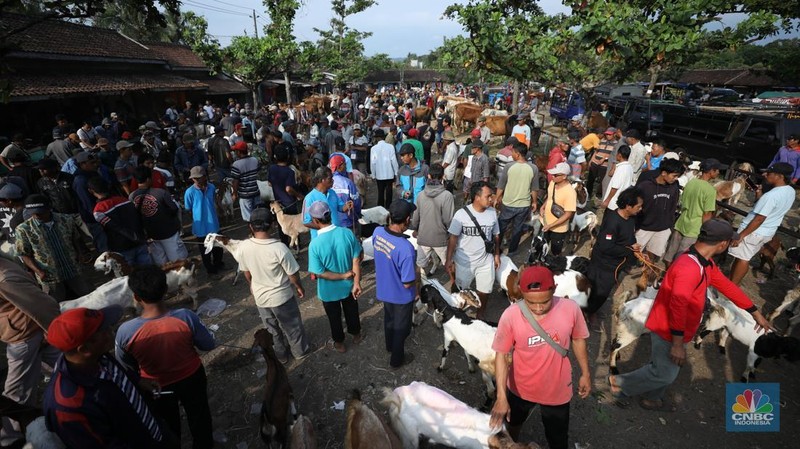 Suasana pedagang melayani calon pembeli di Pasar Hewan Karanggede, Boyolali, Jawa Tengah, Sabtu (28/6/2025). (CNBC Indonesia/Tri Susilo)