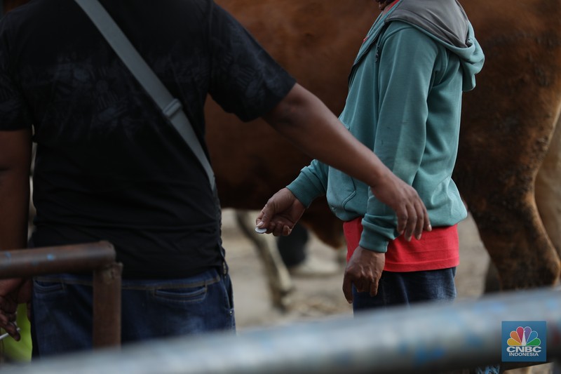 Suasana pedagang melayani calon pembeli di Pasar Hewan Karanggede, Boyolali, Jawa Tengah, Sabtu (28/6/2025). (CNBC Indonesia/Tri Susilo) Suasana pedagang melayani calon pembeli di Pasar Hewan Karanggede, Boyolali, Jawa Tengah, Sabtu (28/6/2025). (CNBC Indonesia/Tri Susilo)