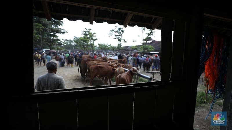 Suasana pedagang melayani calon pembeli di Pasar Hewan Karanggede, Boyolali, Jawa Tengah, Sabtu (28/6/2025). (CNBC Indonesia/Tri Susilo) Suasana pedagang melayani calon pembeli di Pasar Hewan Karanggede, Boyolali, Jawa Tengah, Sabtu (28/6/2025). (CNBC Indonesia/Tri Susilo)