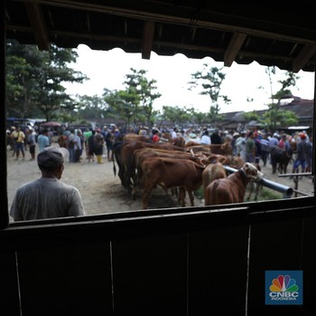Uniknya Pasar Hewan Pakai Tanggalan Jawa, Tawar Menawar dengan Koin