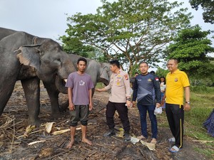 Polisi dan PLG Minas Riau Kolaborasi Cari Solusi Atasi Konflik Gajah Liar