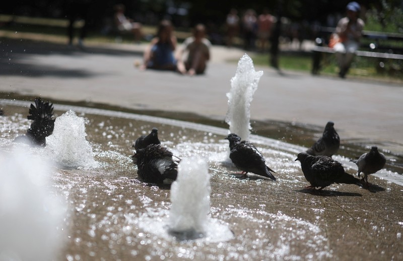 Turis melindungi diri dari terik matahari dengan payung selama gelombang panas musim panas pertama di Seville, Spanyol selatan, 29 Juni 2025. (REUTERS/Marcelo del Pozo) Turis melindungi diri dari terik matahari dengan payung selama gelombang panas musim panas pertama di Seville, Spanyol selatan, 29 Juni 2025. (REUTERS/Marcelo del Pozo)