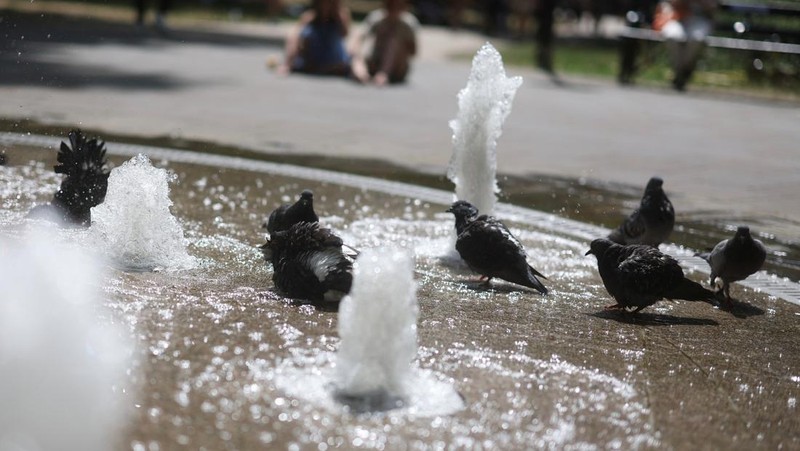 Turis melindungi diri dari terik matahari dengan payung selama gelombang panas musim panas pertama di Seville, Spanyol selatan, 29 Juni 2025. (REUTERS/Marcelo del Pozo)