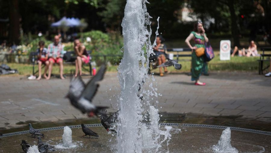 Seorang pria menyelam ke laut dekat Dermaga Istana Brighton saat cuaca panas di Brighton, Inggris, Minggu (29/6/2025). (REUTERS/Carlos Jasso) Seorang pria menyelam ke laut dekat Dermaga Istana Brighton saat cuaca panas di Brighton, Inggris, Minggu (29/6/2025). (REUTERS/Carlos Jasso)