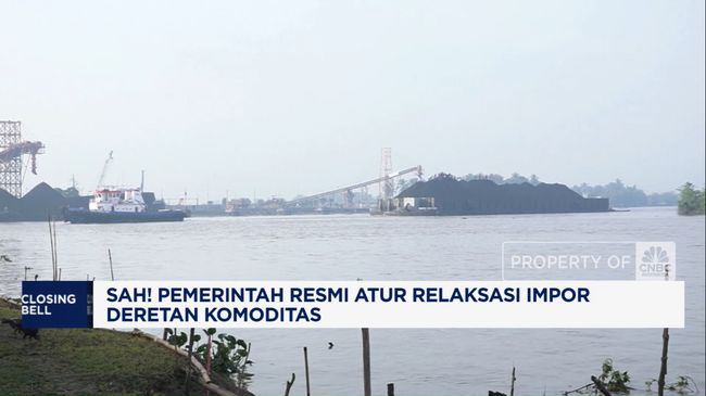 Video: Sah! Pemerintah Resmi Atur Relaksasi Impor Deretan Komoditas