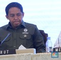 Update Menhut Soal Lahan Prabowo 90 Ribu Ha Demi Konservasi Gajah Aceh