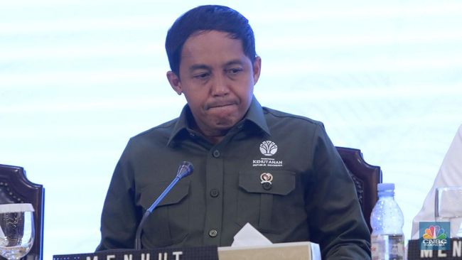 Update Menhut Soal Lahan Prabowo 90 Ribu Ha Demi Konservasi Gajah Aceh