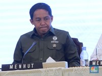 Update Menhut Soal Lahan Prabowo 90 Ribu Ha Demi Konservasi Gajah Aceh