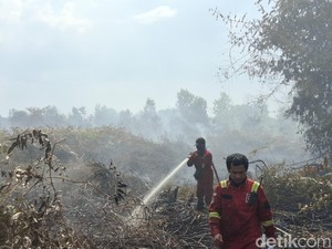 Lahan Gambut di Kampar Terbakar 30 Ha, Akses Sulit-Air Minim