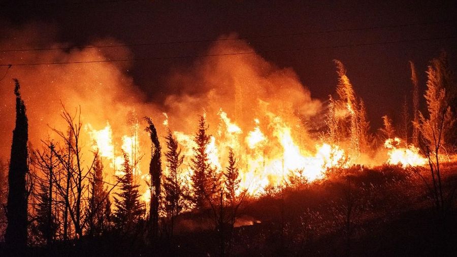 Asap dan api mengepul dari kawasan hutan setelah kebakaran hutan di distrik Seferihisar, Izmir, Turki, pada 30 Juni 2025. (AFP/AHMET AYBERK CIMEN)