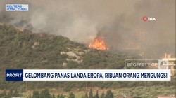 Video: Gelombang Panas Landa Eropa, Ribuan Orang Mengungsi