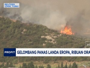 Video: Gelombang Panas Landa Eropa, Ribuan Orang Mengungsi