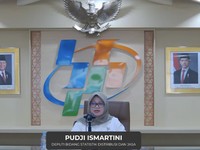 Harga Emas, Beras & Pesawat Paling Sering Naik 6 Bulan Terakhir